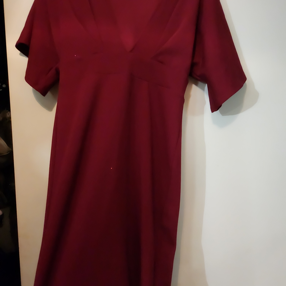 Elegant Burgundy Dress - Picture 2 of 4